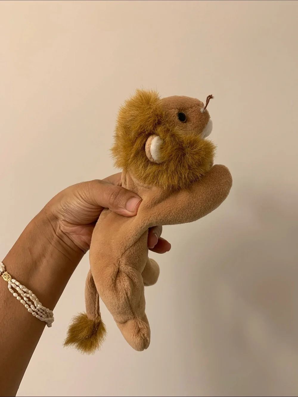 Roary the lion, beanie baby.